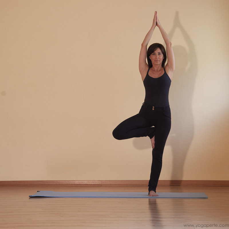 Equilibrio Equilibrio