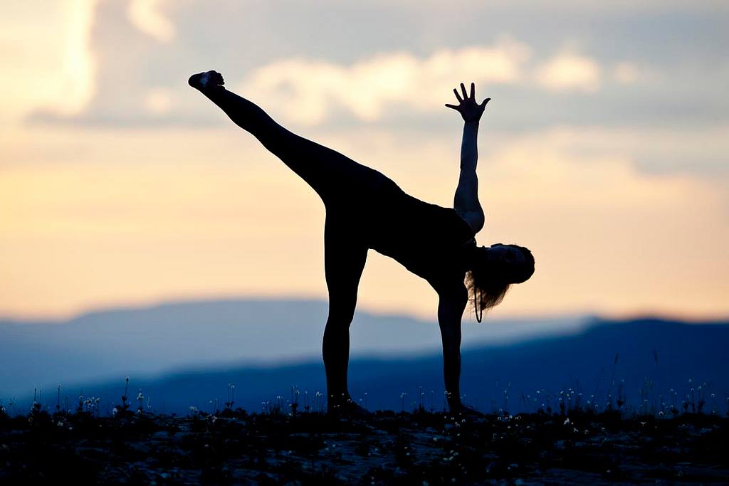 L’essenza dell’Hatha Yoga